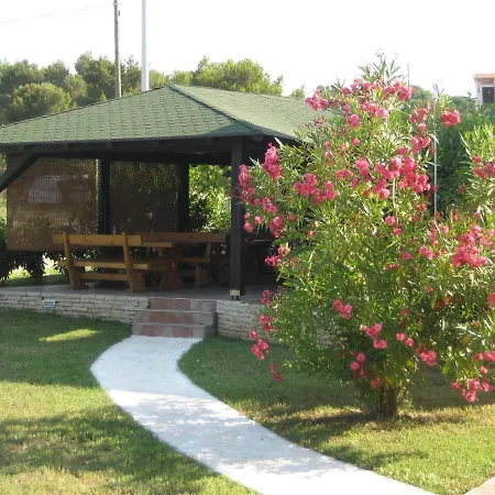 „drei Palmen“ Sveti Filip i Jakov