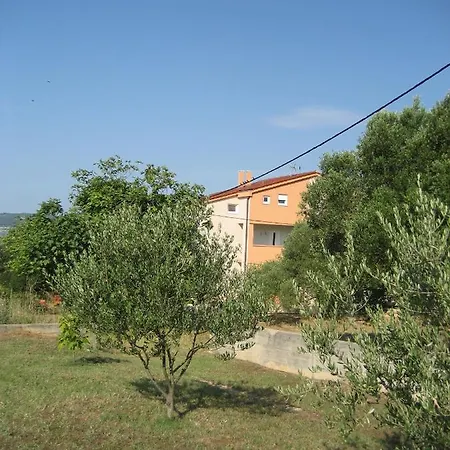 „drei Palmen“