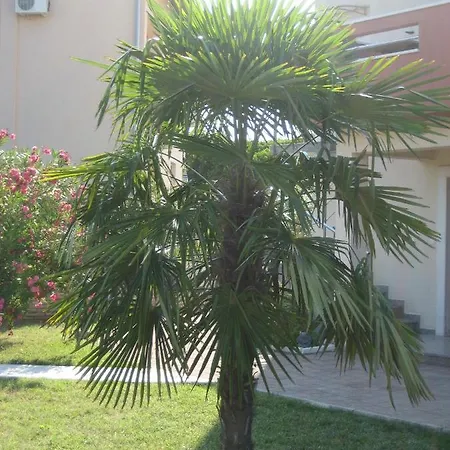 Apartamento „drei Palmen“
