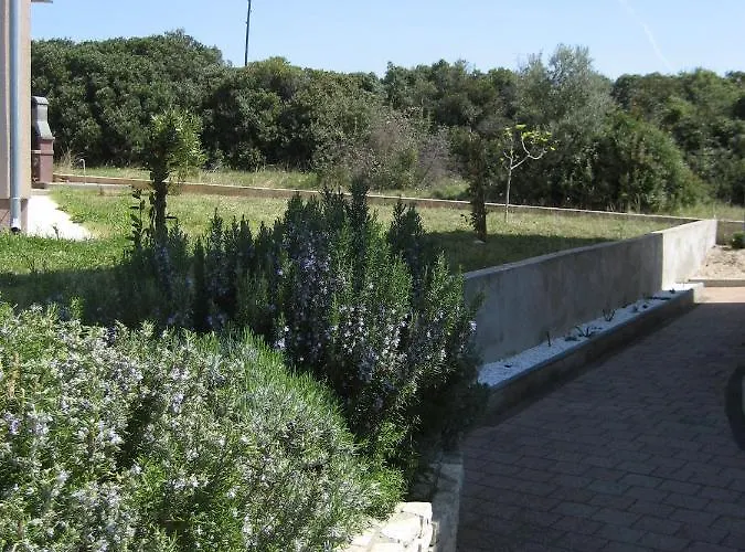 „drei Palmen“ Apartament *