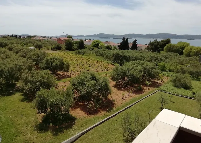 Apartament „drei Palmen“