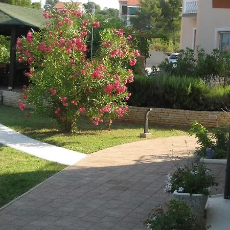 Apartment „drei Palmen“