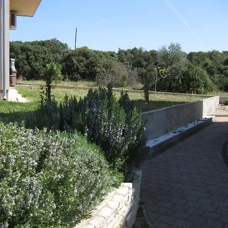 „drei Palmen“ Apartamento *