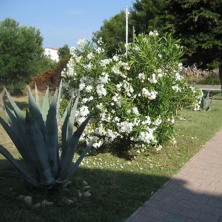 Lejlighed „drei Palmen“