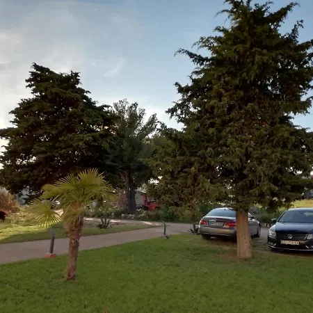 Διαμέρισμα „drei Palmen“ Sveti Filip i Jakov