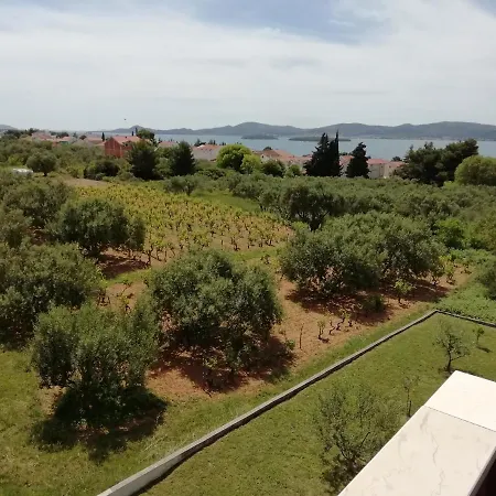 Apartment „drei Palmen“