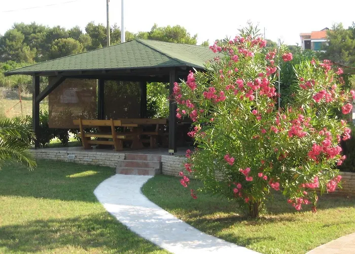 „drei Palmen“ Sveti Filip i Jakov