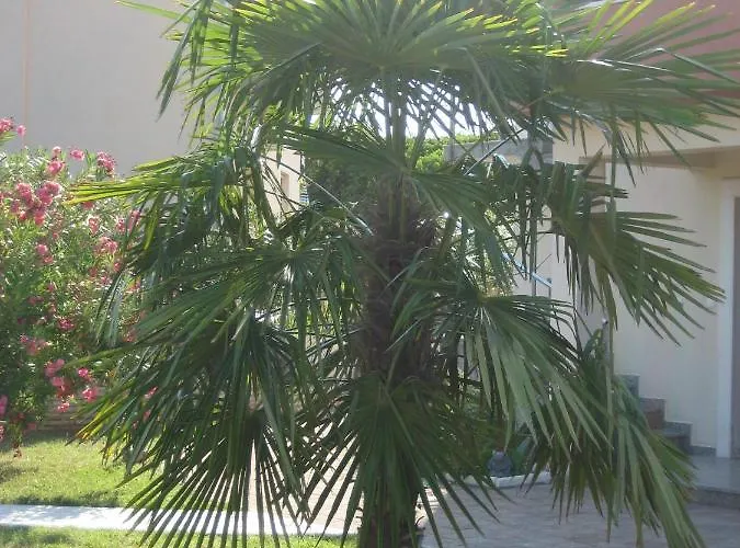 Apartman „drei Palmen“