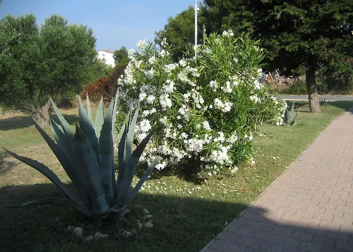 Apartman „drei Palmen“